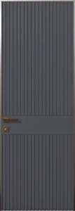 Venus 1